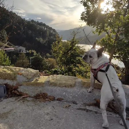 Casa Dos Avós Casa de Férias Gerês