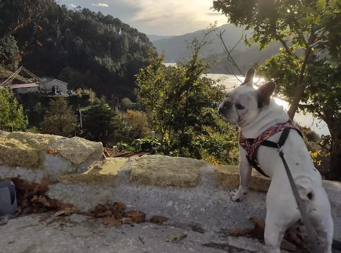 Casa Dos Avos בית נופש ג'רס